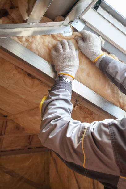 Best Insulation Installation Services in Chico, CA